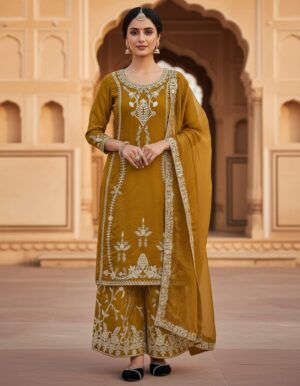 Elegant Classy Ethnic Wear Suit