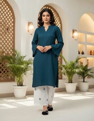 Beautiful Elegant Ethnic Wear Dress