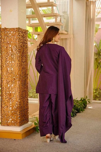 New Elegant Ethnic Wear Dress - Image 2