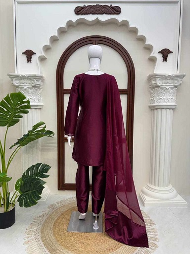 New Classy Tones With Premium Designed Dress - Image 4